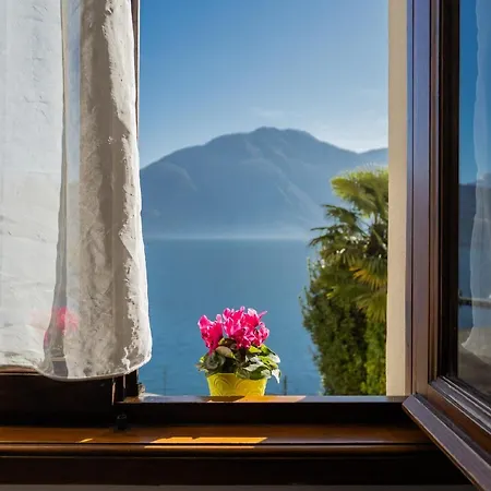 Family By Rent Apartment