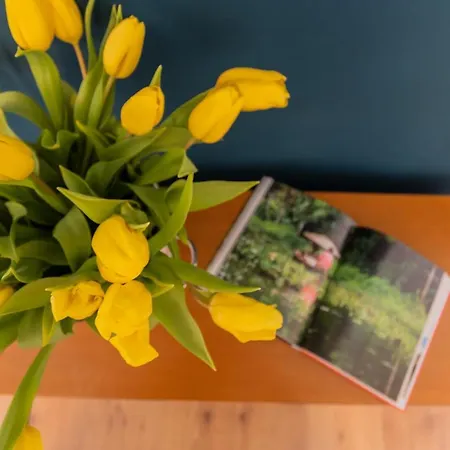 Family By Rent Apartamento Mezzegra